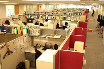 Which Job is Right For Me: Kindergarten, Elementary, Jr High, High School or University?