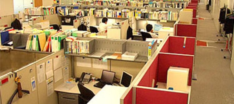 Which Job is Right For Me: Kindergarten, Elementary, Jr High, High School or University?